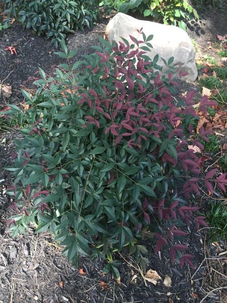 Loughridge Landscapes