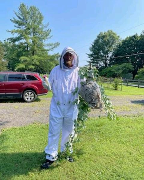 Veteran Pest & Wildlife Services