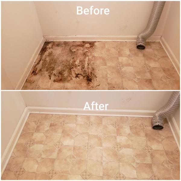 Scrubology Professional Cleaning Service