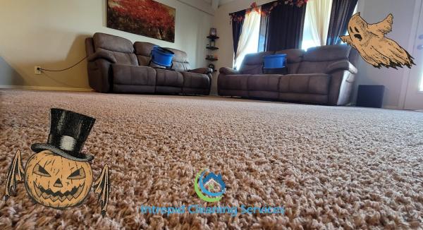 Intrepid Carpet Cleaners