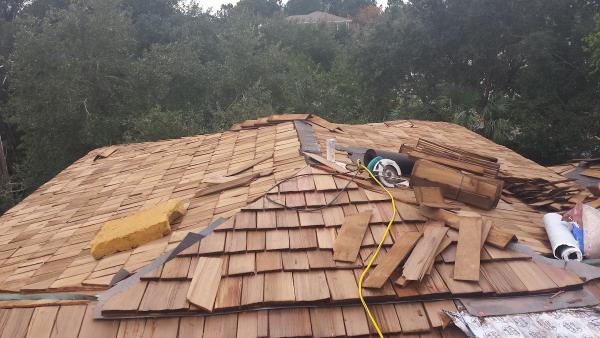 Venus Roofing & Tree Removal LLC
