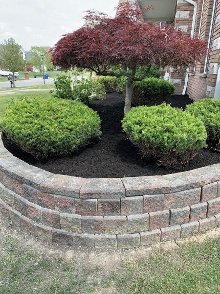 Payless Landscaping