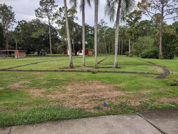 Under the Son Sprinklers