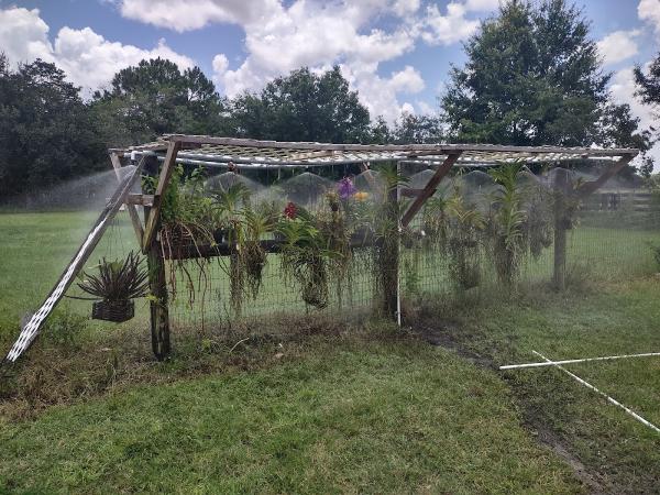 Under the Son Sprinklers
