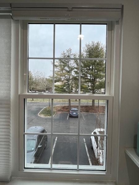 Siding & Windows Wizards LLC