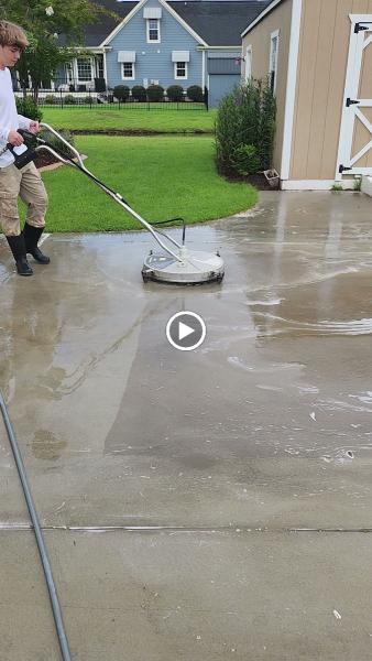 Bird Dog Power Washing and Roof Cleaning