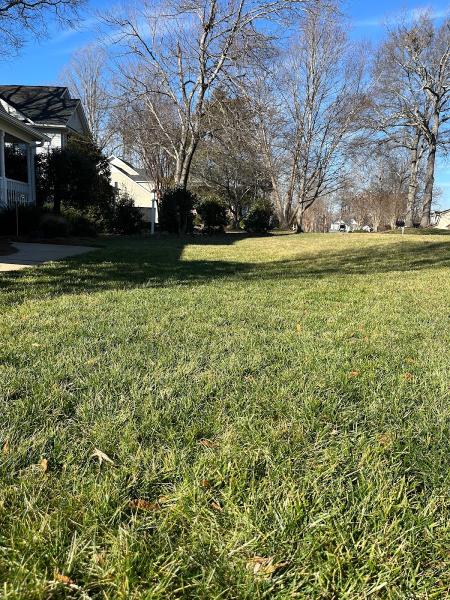 Precision Landscape Management