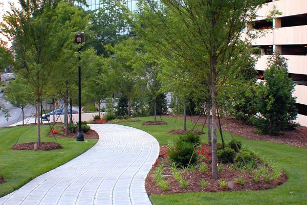 Arbor Engineering