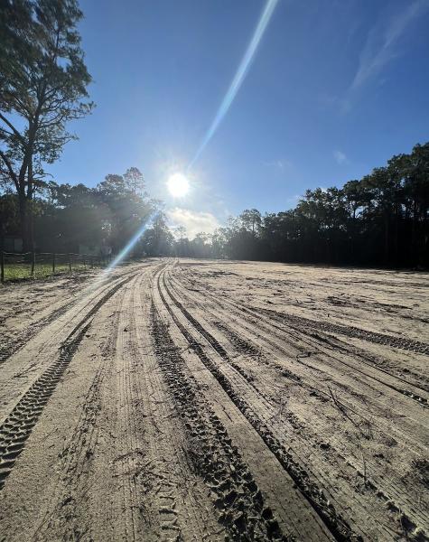 TLC Land Clearing