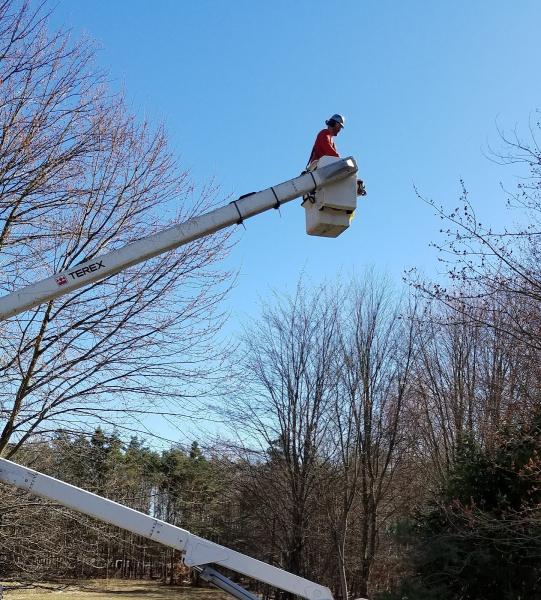 McFarland and Sons Tree Service