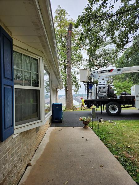 Green's Tree Service