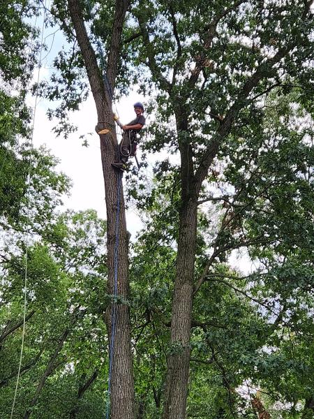 Green's Tree Service