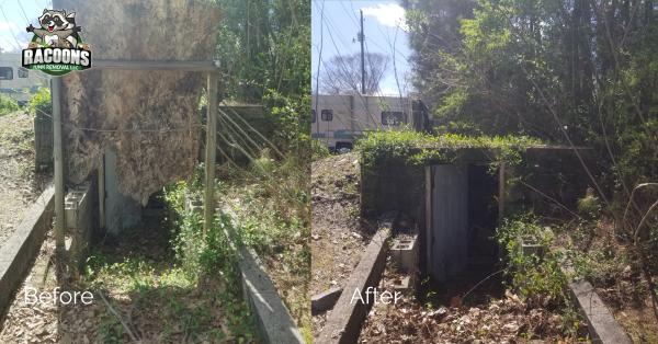 Racoons Junk Removal LLC