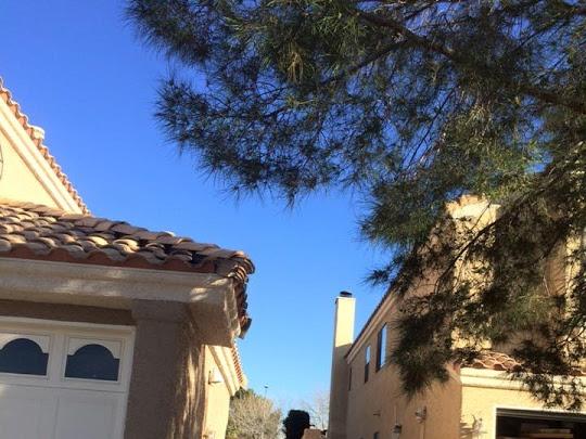 Rocha Maintenance Lawn Maintenance