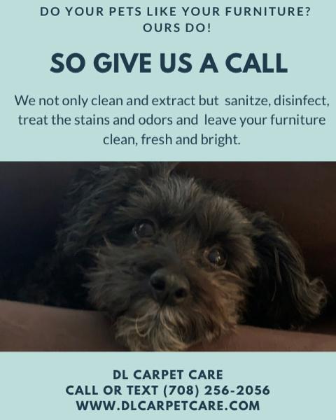 DL Carpet Care