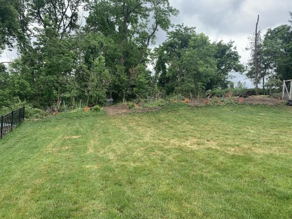 Carl's Tree Service