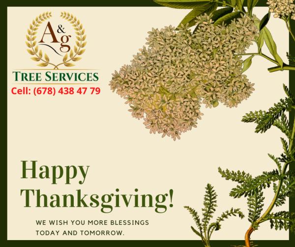 A & G Tree Services