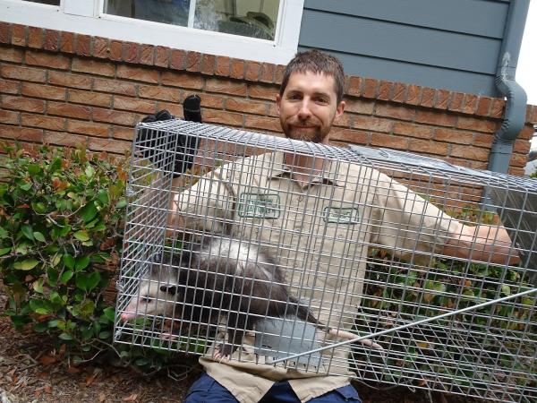 Pest Animal Removal Washington DC