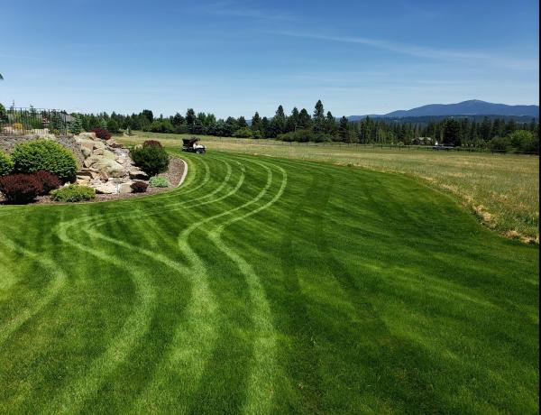 Joel's Lawn Care