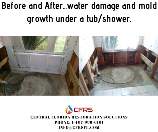 Central Florida Restoration Solutions