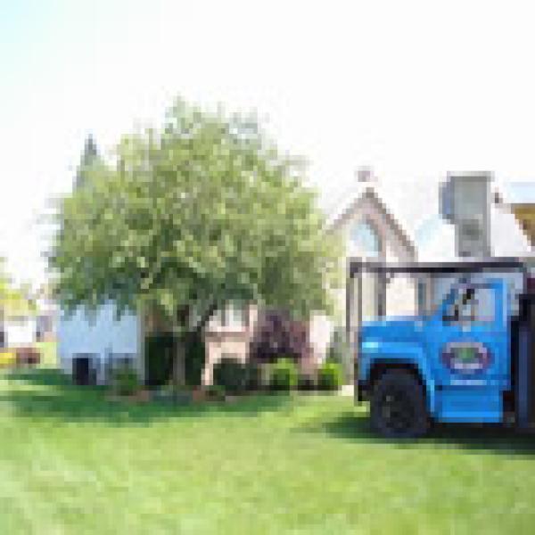 Professional Tree Care