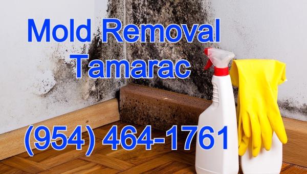 Mold Remediation USA