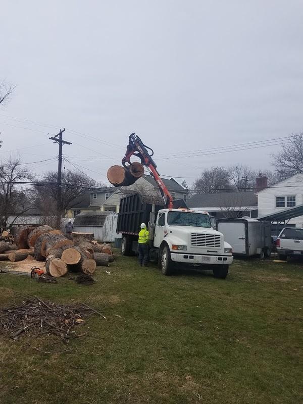 De La Sierra Tree Service