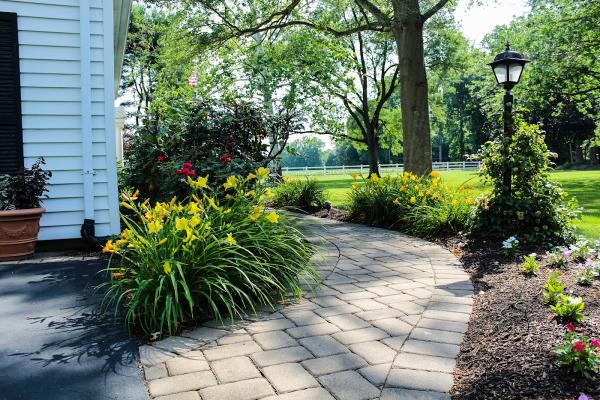 Jonny Nichols Landscape Maintenance