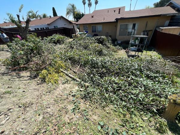 Dirty Deeds Junk Removal Los Angeles