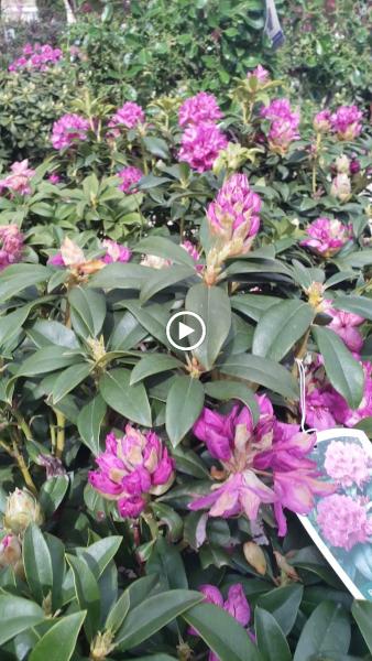 Farwest Landscape & Garden Center