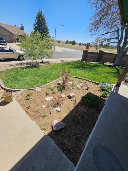 MQ Landscaping & Tree Services