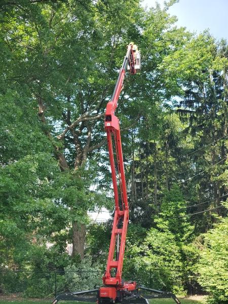 BSM Landscaping and Tree Service