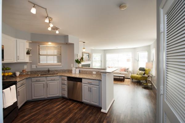 Designer Painters