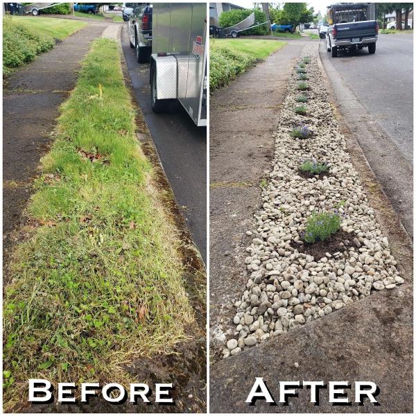 SKB Yard Maintenance