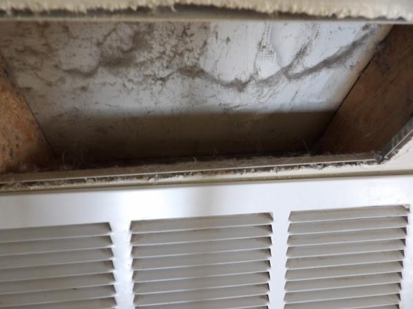 Iclductcleaning