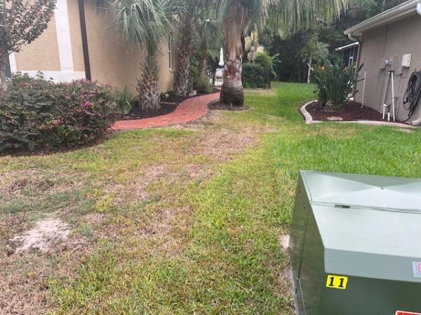 Assuregreen Property Services