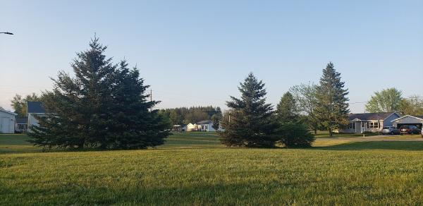 Leelanau Cut Above Lawn Care LLC