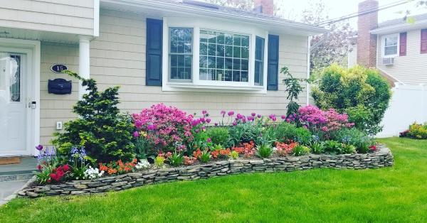 More Than Gardens