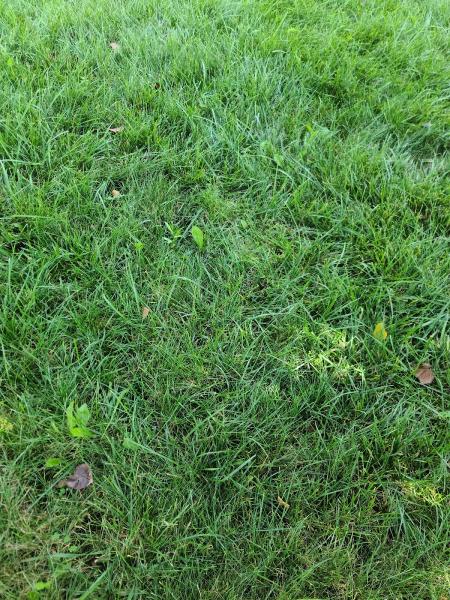 E & R Landscaping LLC