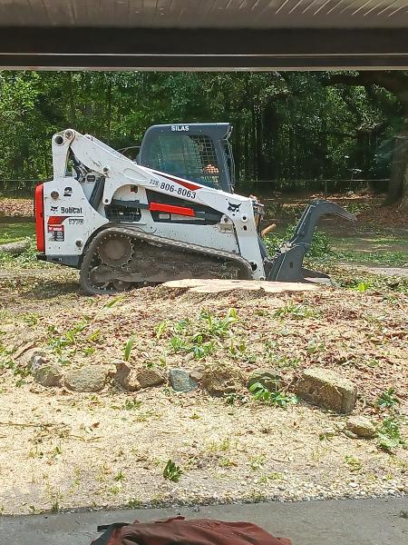 Bobcat Tree Work