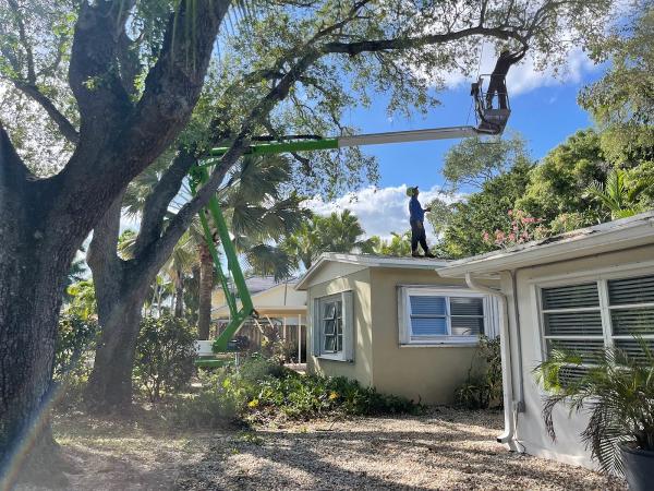 Mahalo Tree Service