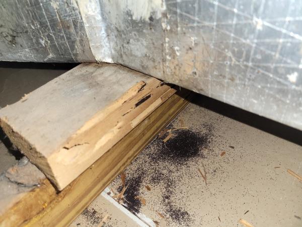 Healthy Home Pest Control Inc