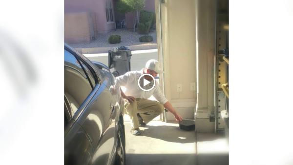 Pest Pros Las Vegas