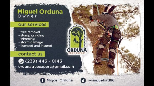 Orduna Tree Expert