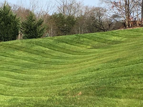 Precision Lawn Service