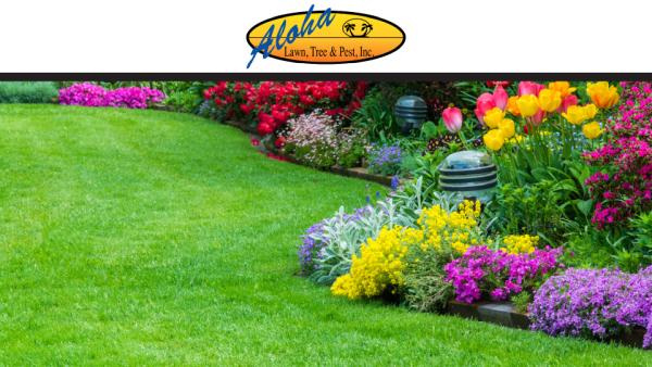 Aloha Gardening