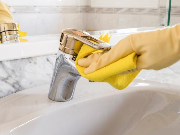 Irene's European House Cleaning Service