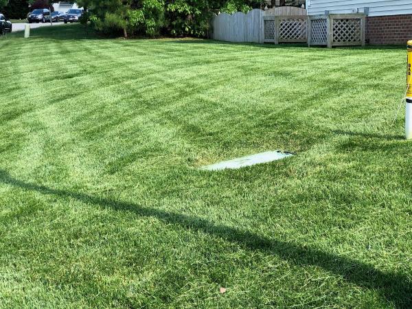 De la Rosa Landscaping