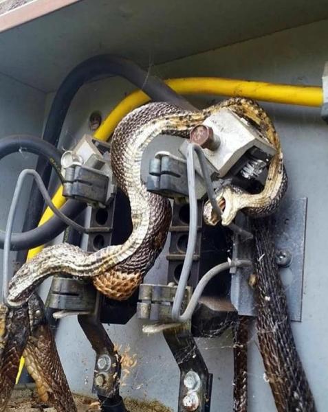 Electro Systems Electric