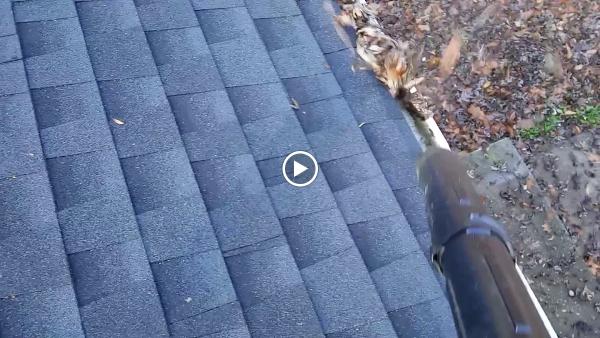 Triangle Pros Home Remodeling LLC